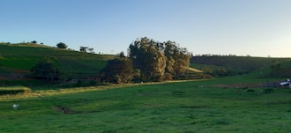 A serene landscape with a plot of land for building.