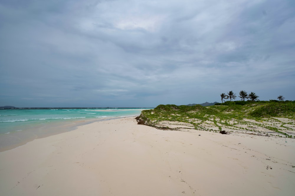 Gente en la playa durante el día