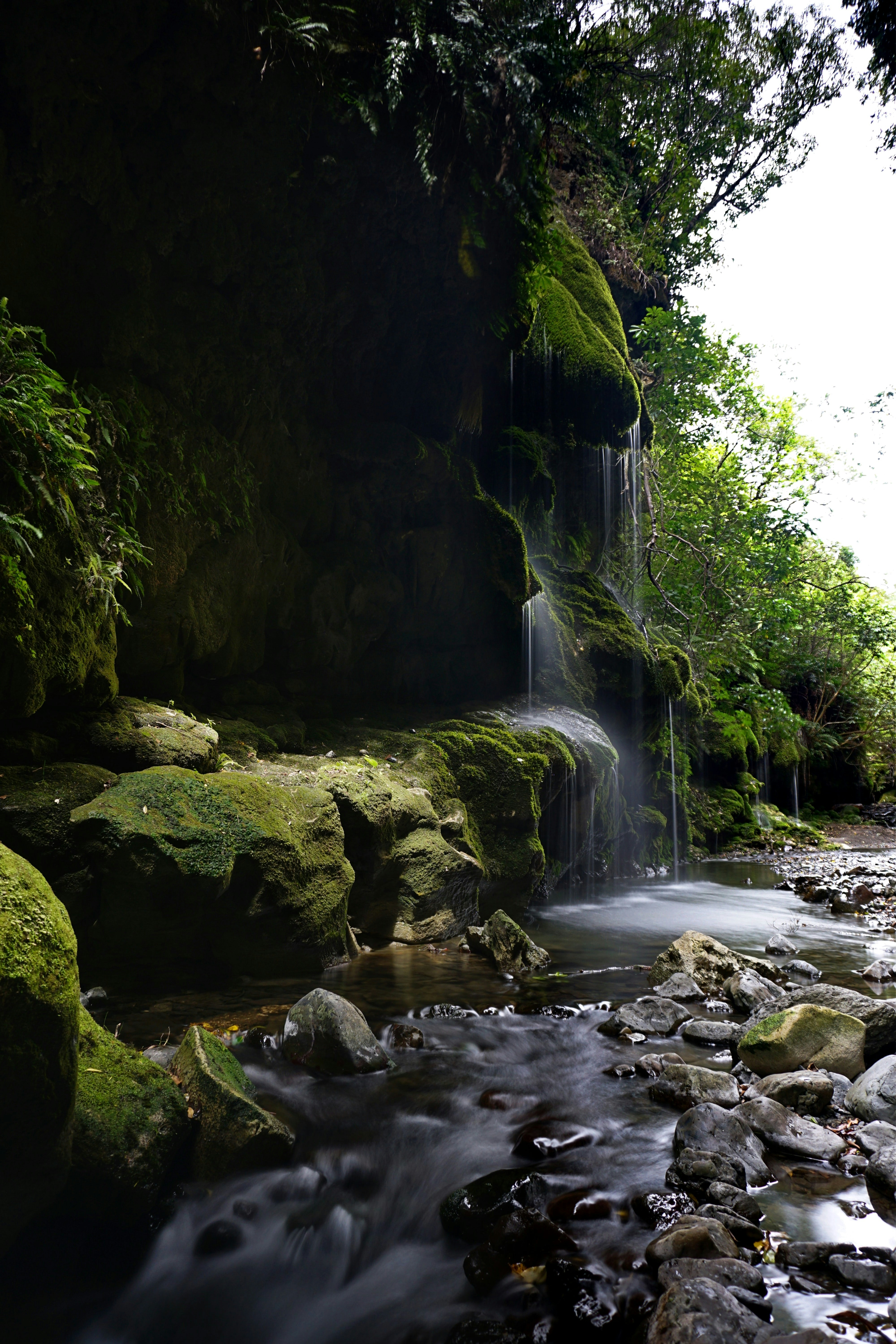 Photo by nature_photography_by_luca