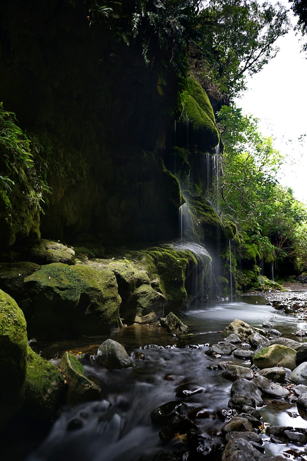 a small waterfall in the middle of a forest