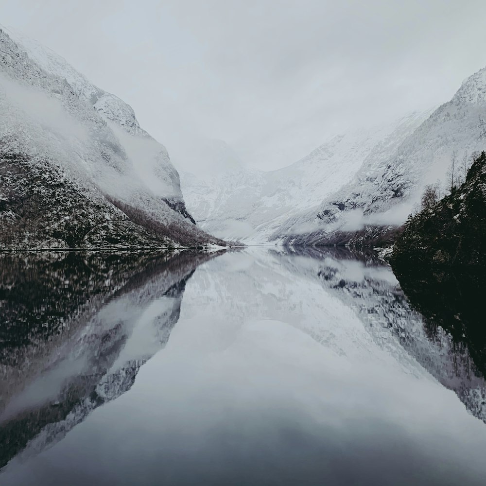 body of water between green trees under white sky during daytime