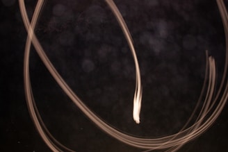 Long exposure photograph capturing light trails against a dark background. The trails curve and twist, creating an abstract and dynamic pattern. The image has a sense of motion and fluidity.
