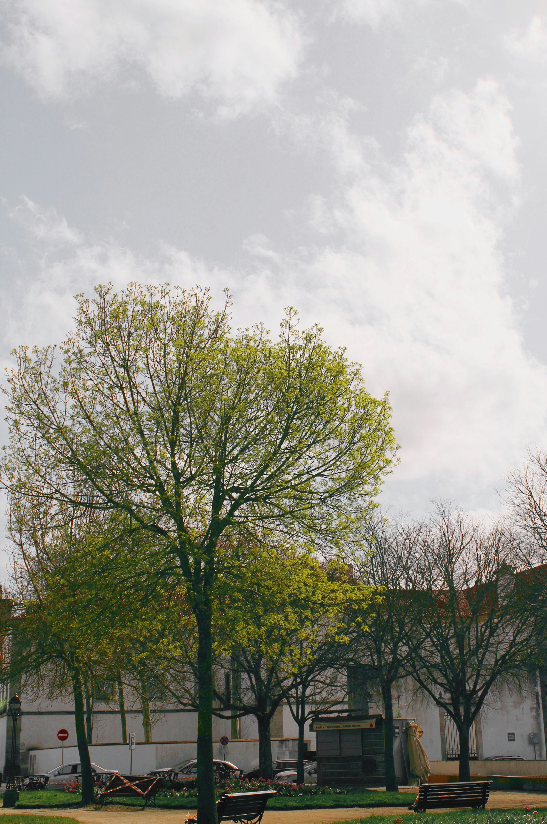 Photo by yaramacchado