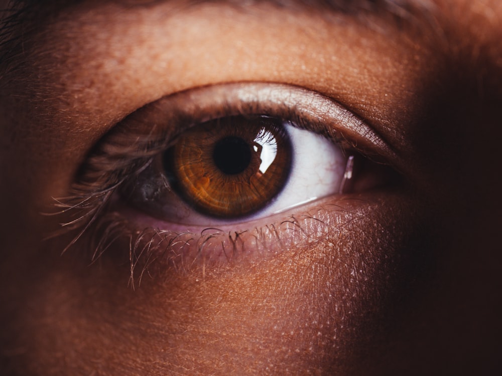 Eyeball Close Up Stock Photo - Download Image Now - Iris - Eye, Eye, Eyeball  - iStock