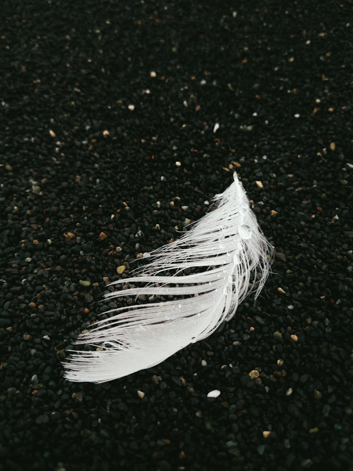 Like A Feather In The Wind