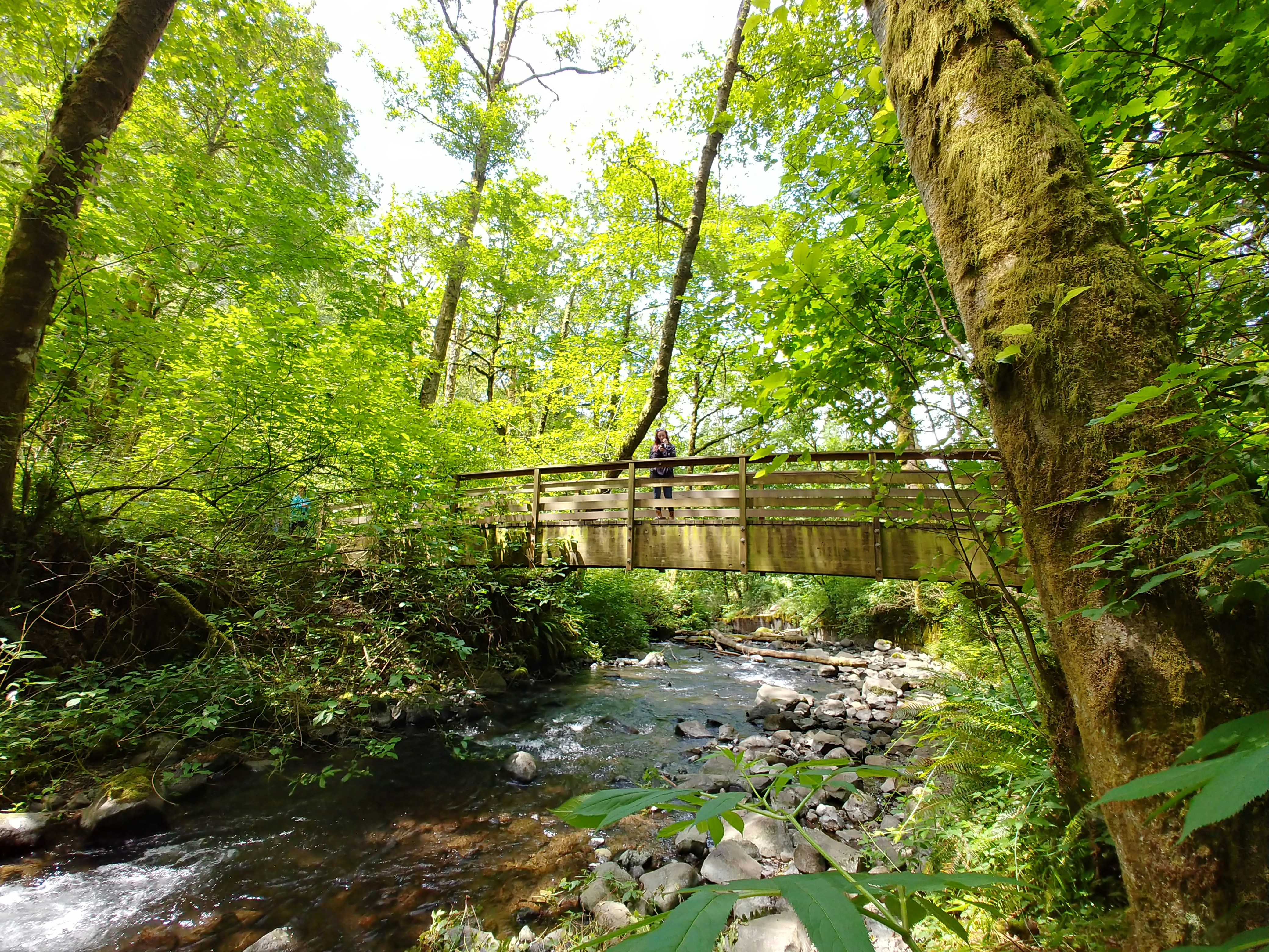 Photo by turtleracer