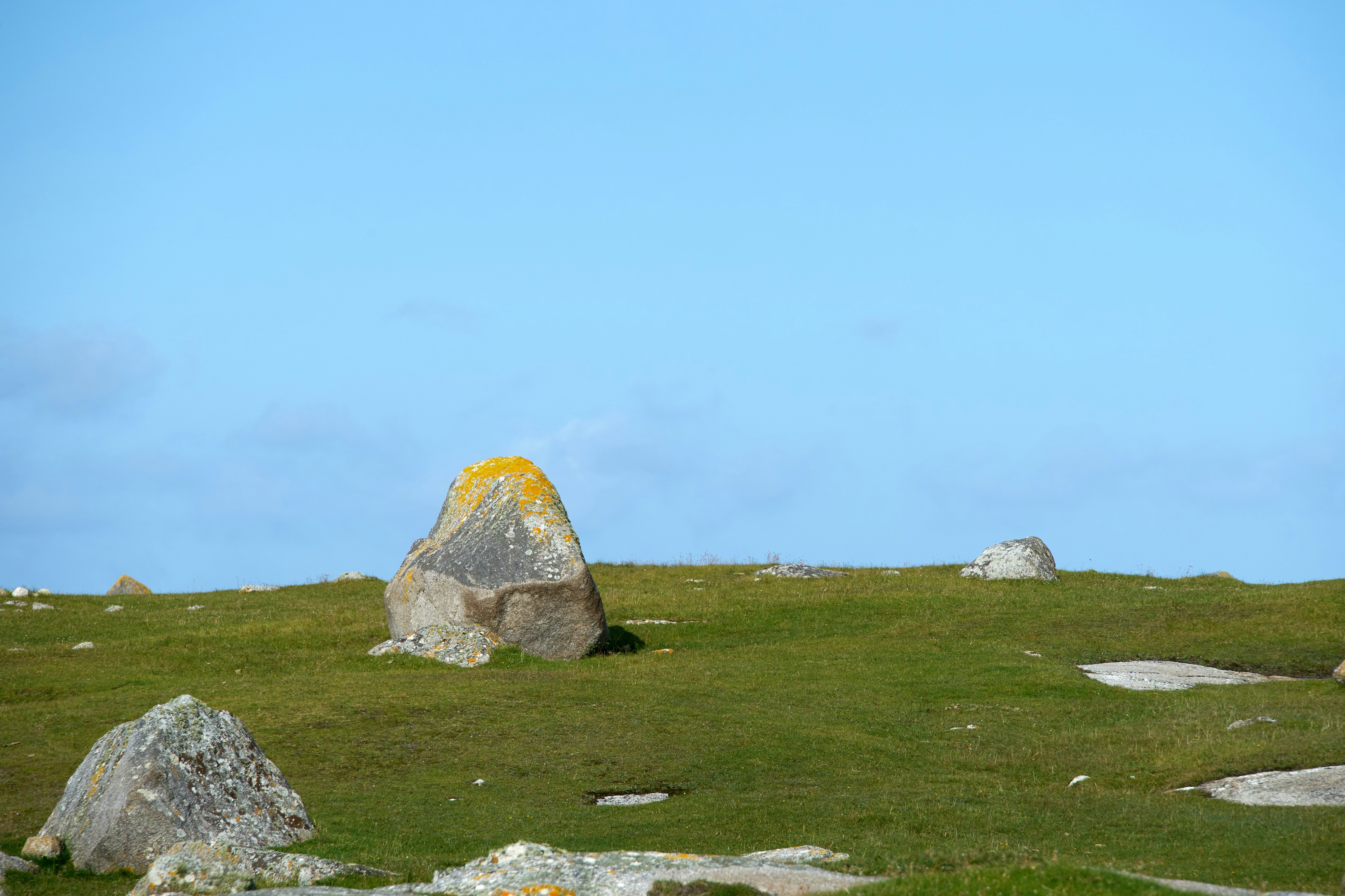 Photo by wolfgang_hasselmann