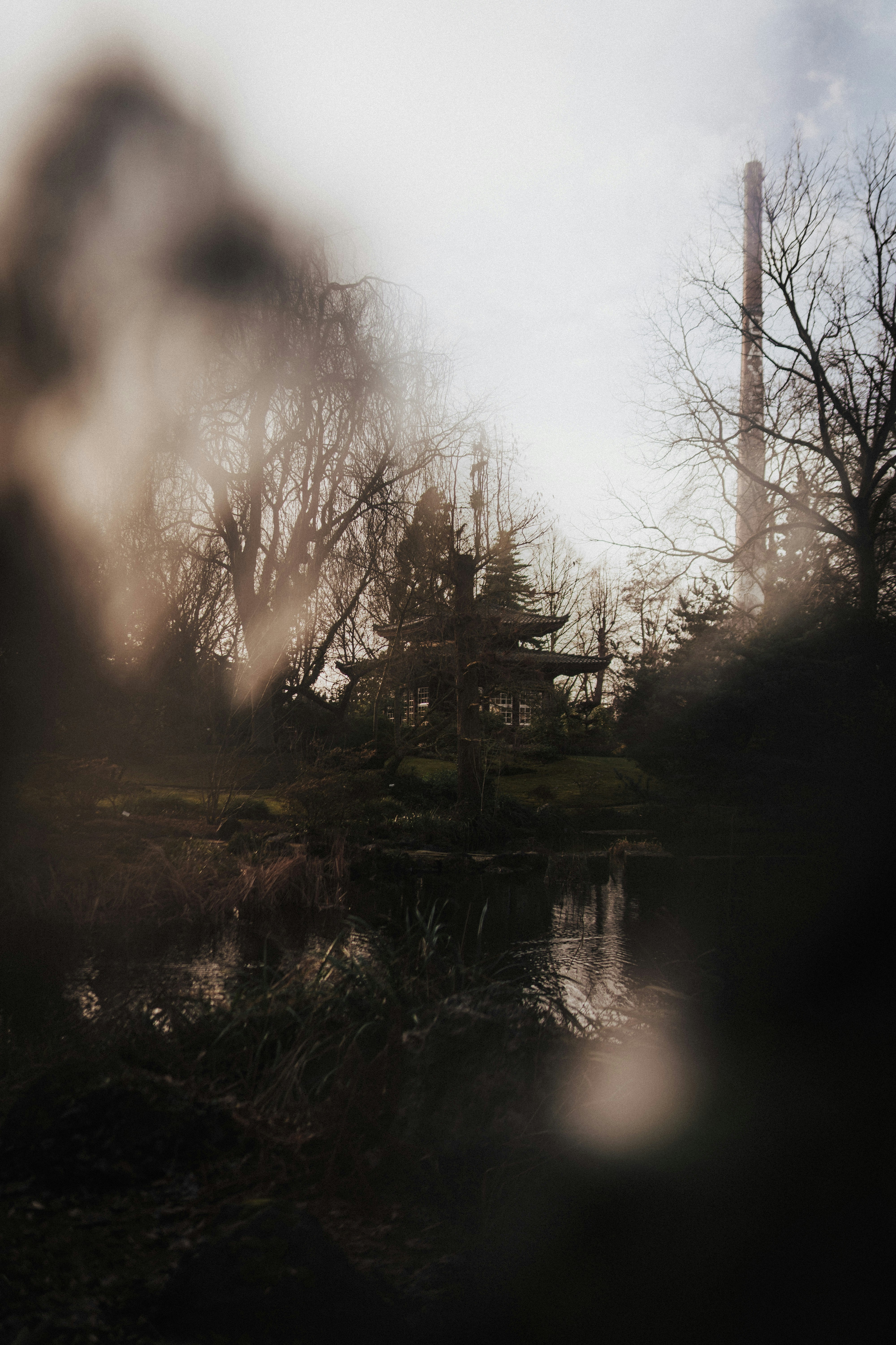 Photo by sebastianmark