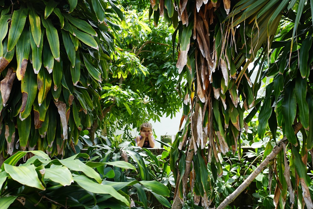 brown monkey on tree during daytime