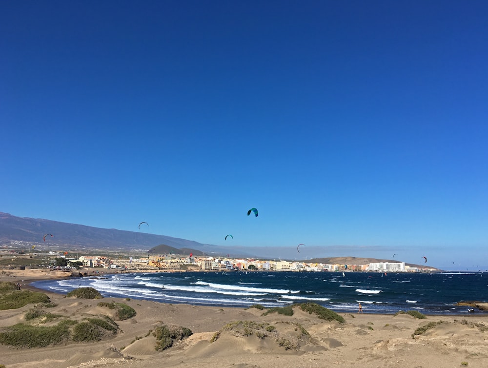 people on beach during daytime