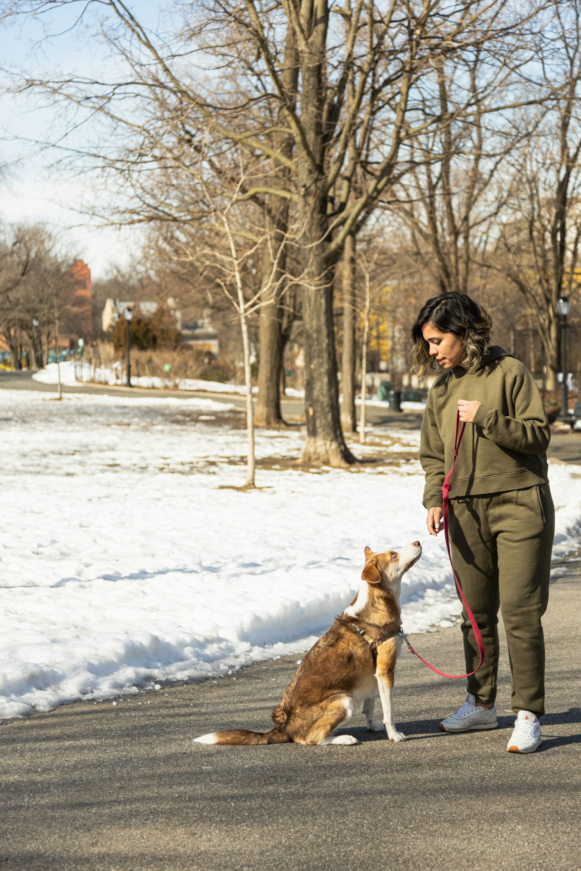 dog and owner on a walk during the winter, with the dog looking up at owner.