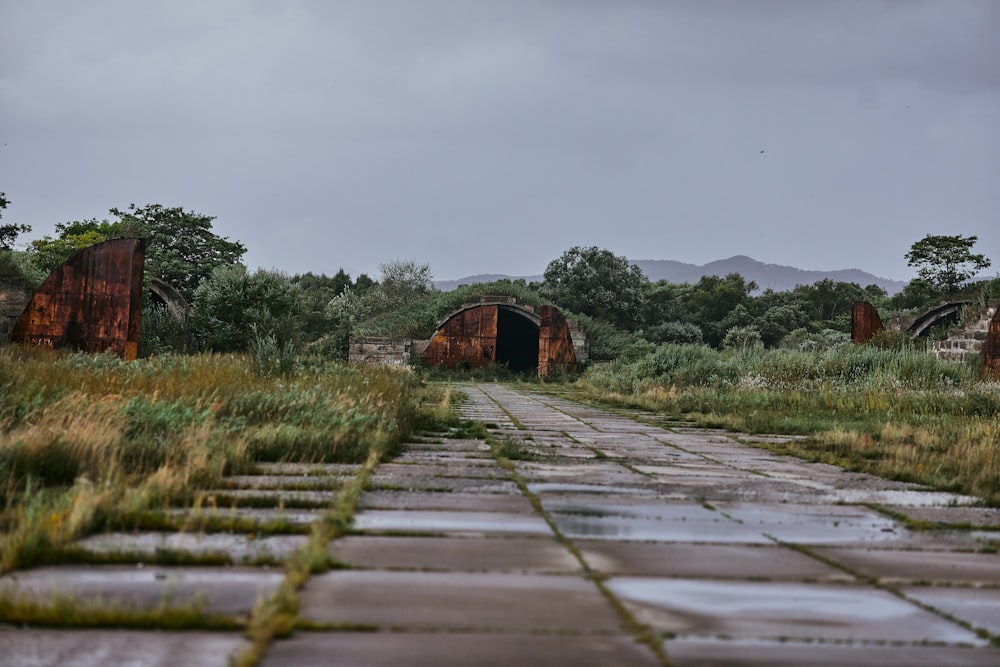 sentiero in legno marrone tra il campo di erba verde durante il giorno