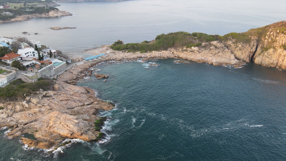 aerial view of green trees and body of water during daytime