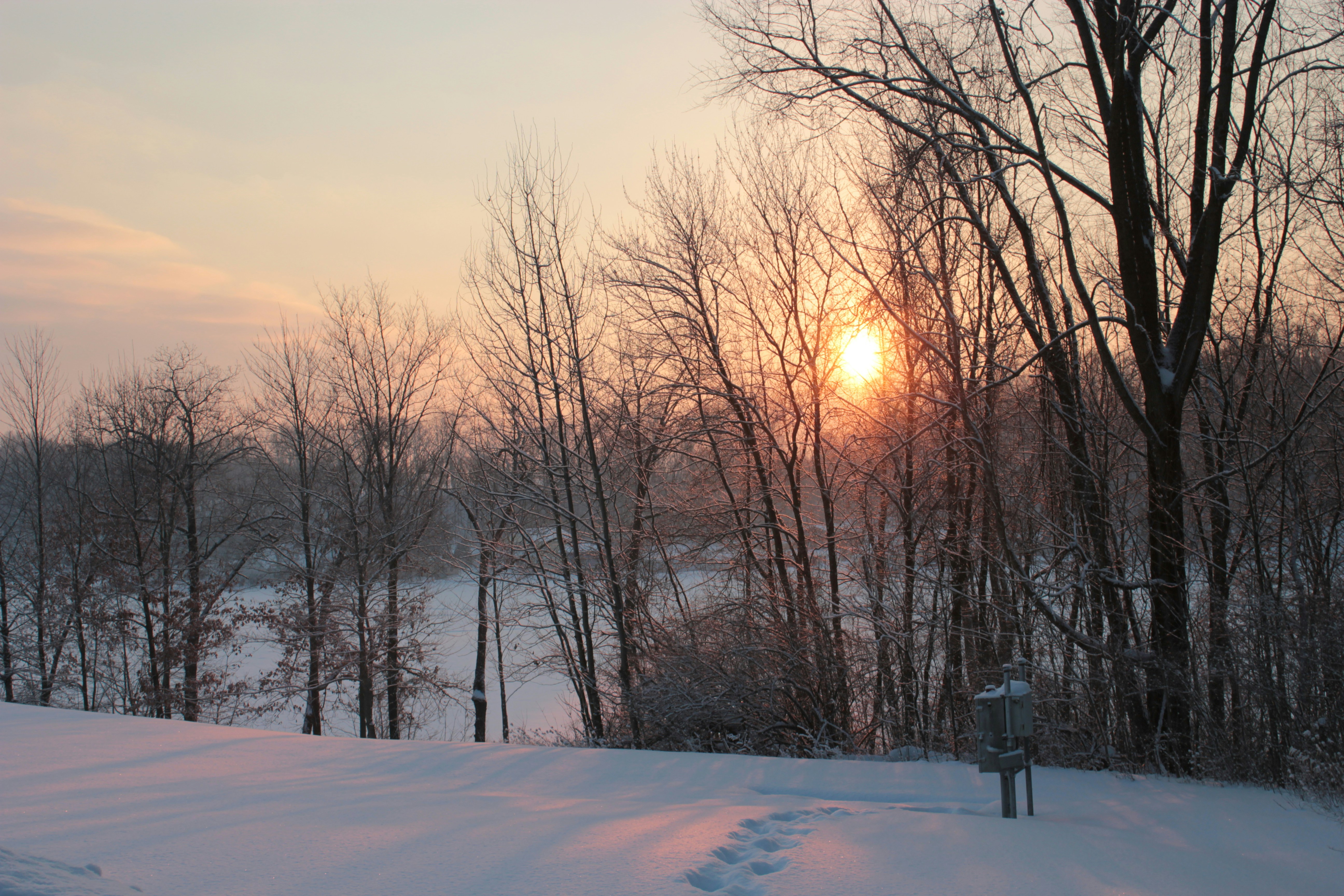 Photo by mrgreatheart