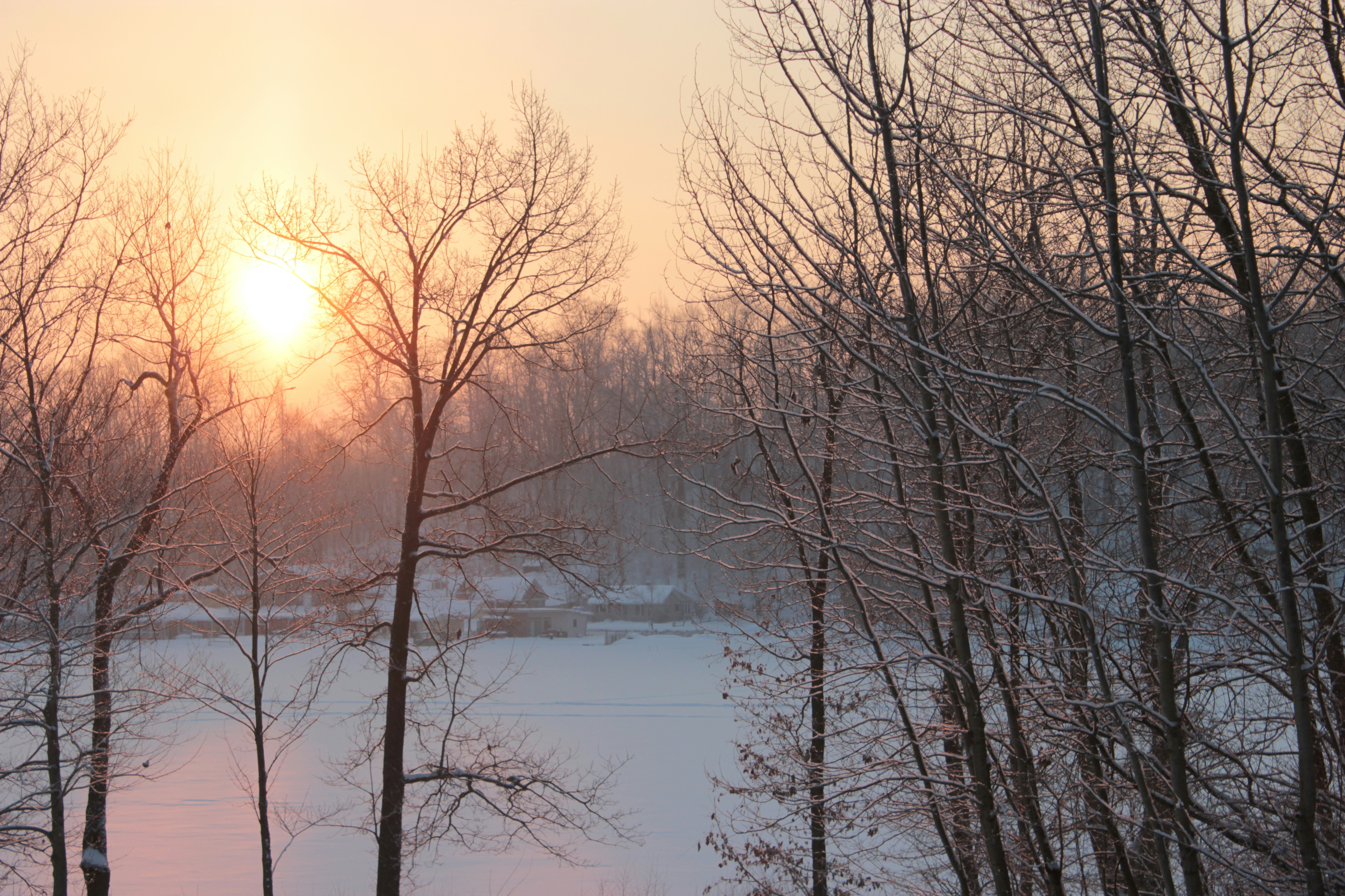 Photo by mrgreatheart