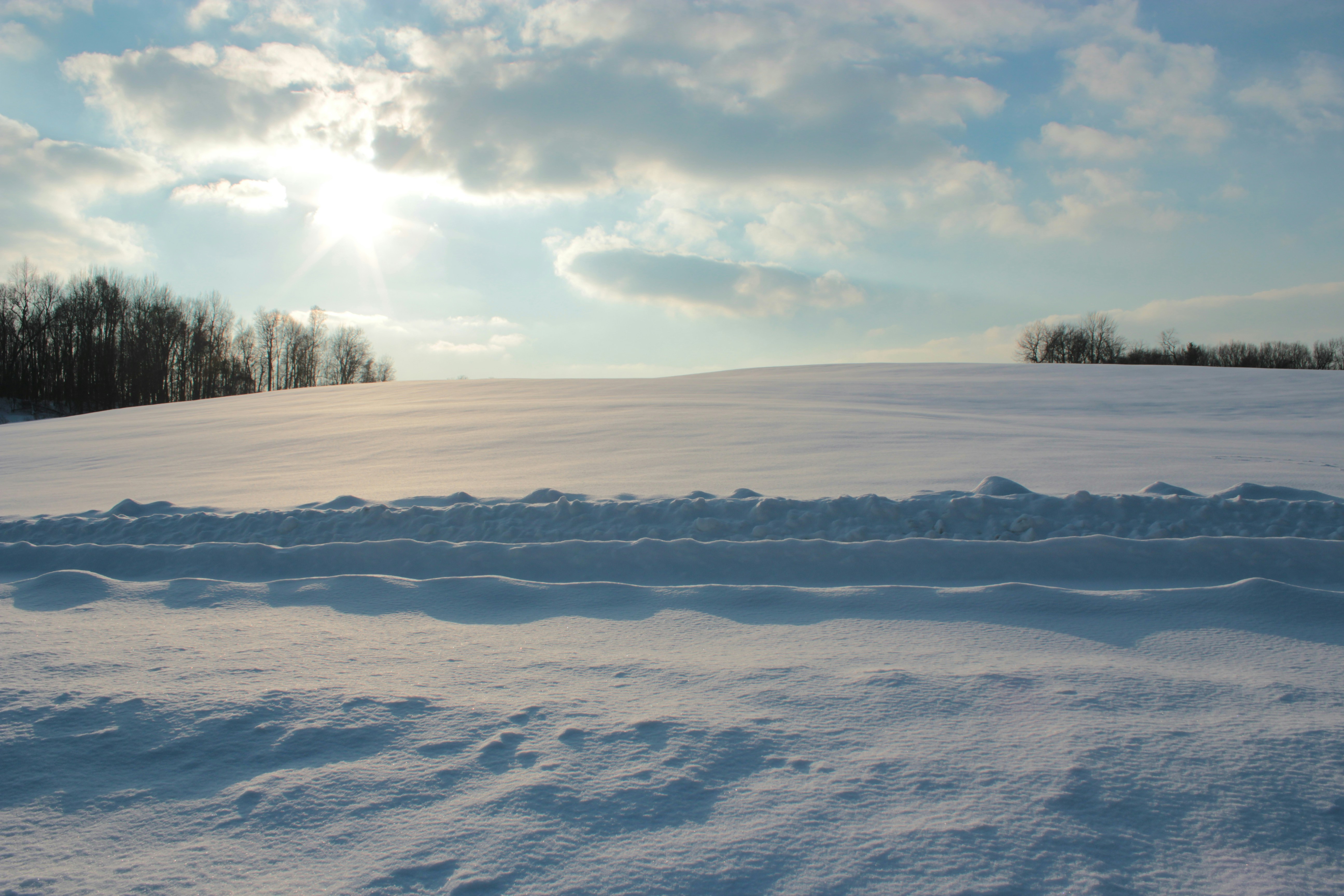 Photo by mrgreatheart