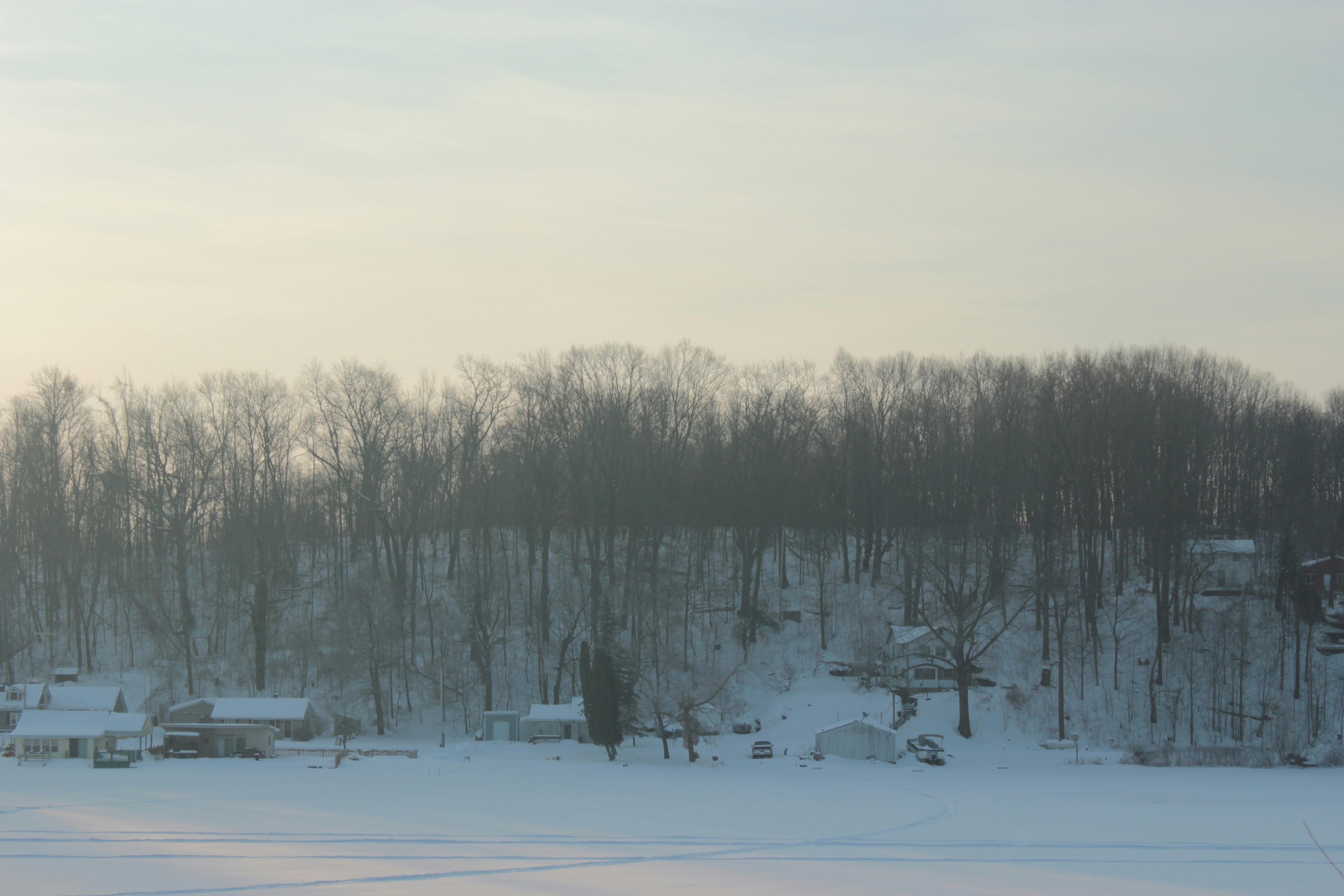 Photo by mrgreatheart