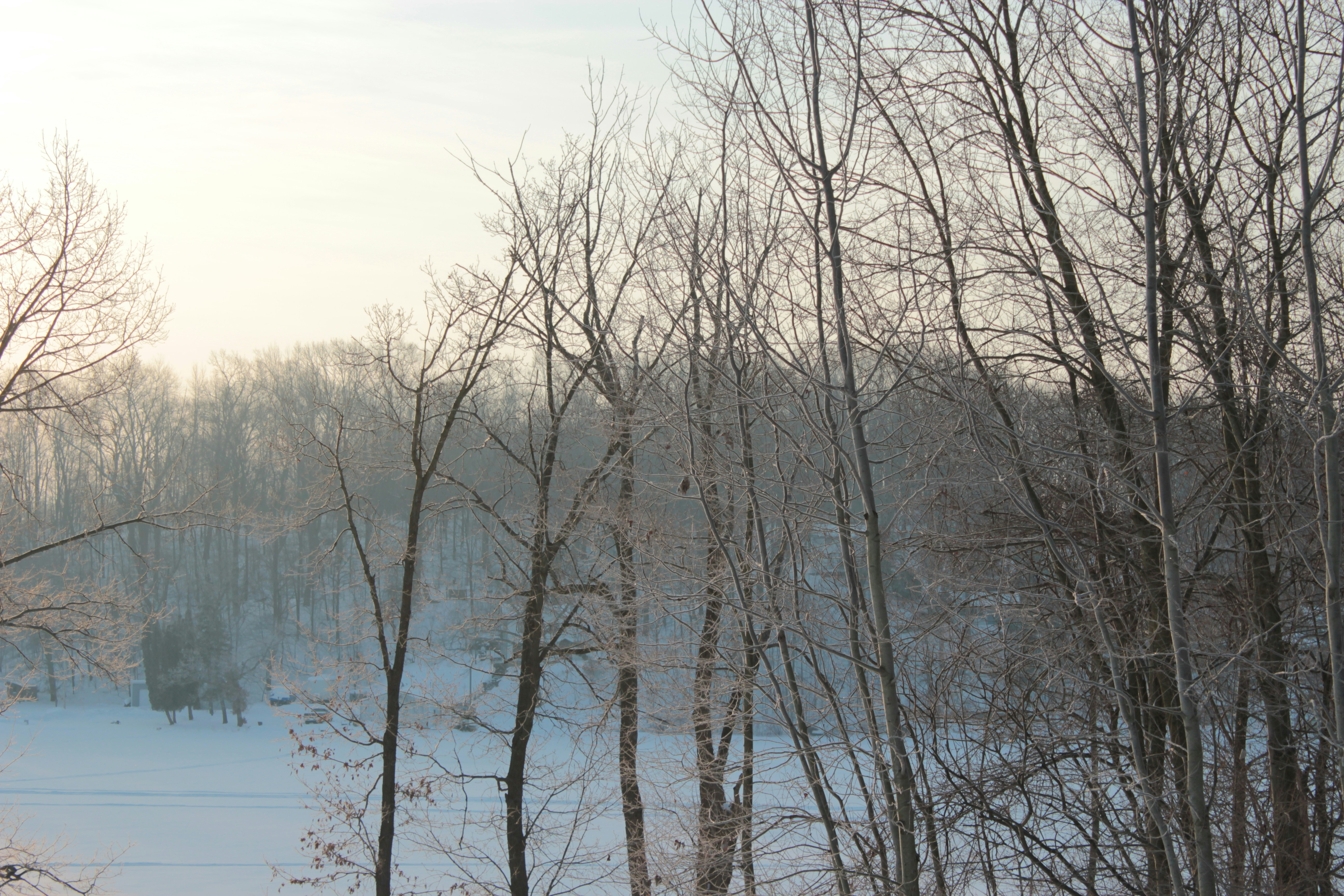 Photo by mrgreatheart