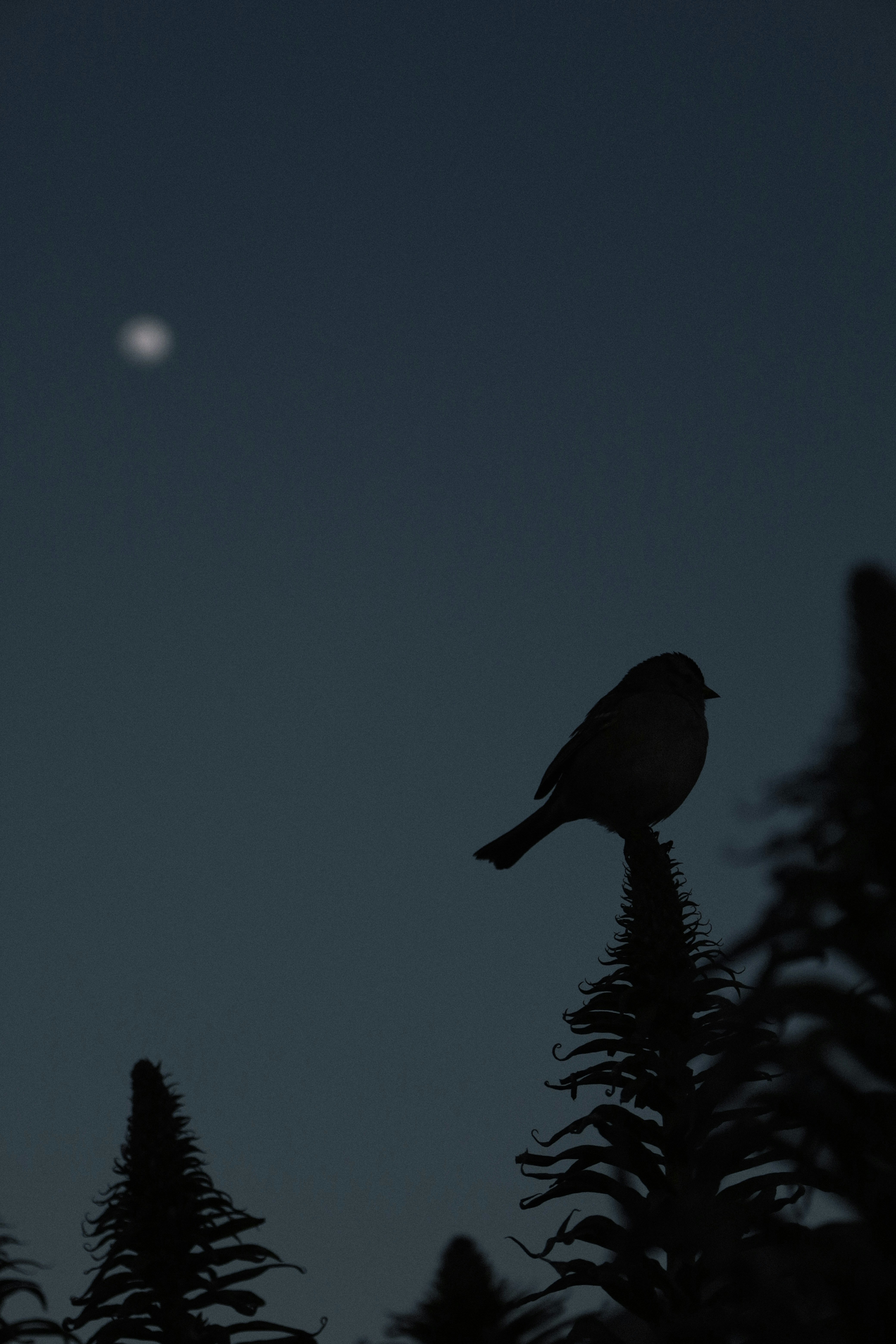 Twitter Spaces: UX Teardown