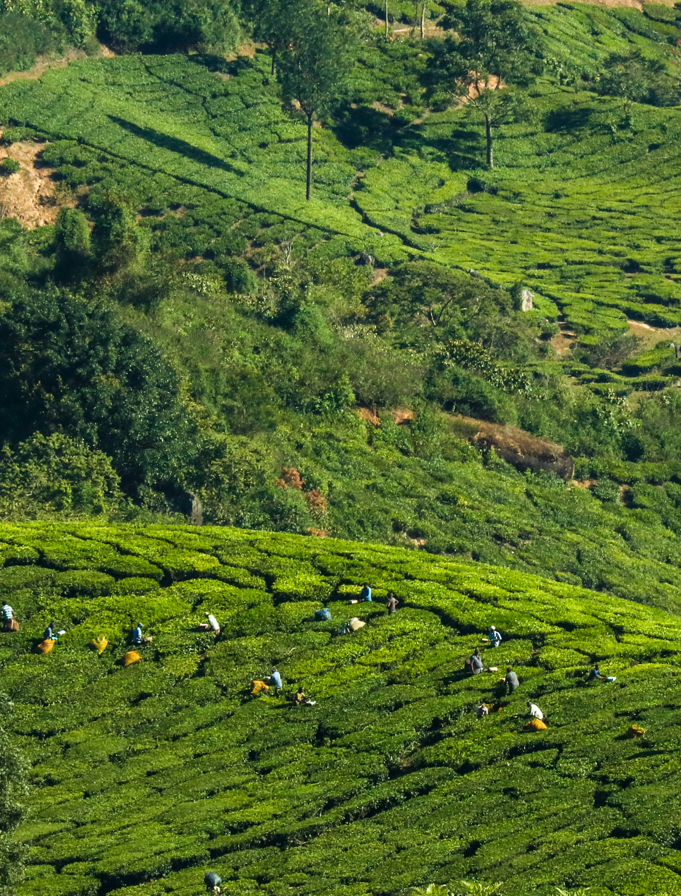 Photo by sreeharid1