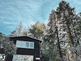 Rustic refuge exterior nestled among tall trees under a clear blue sky.