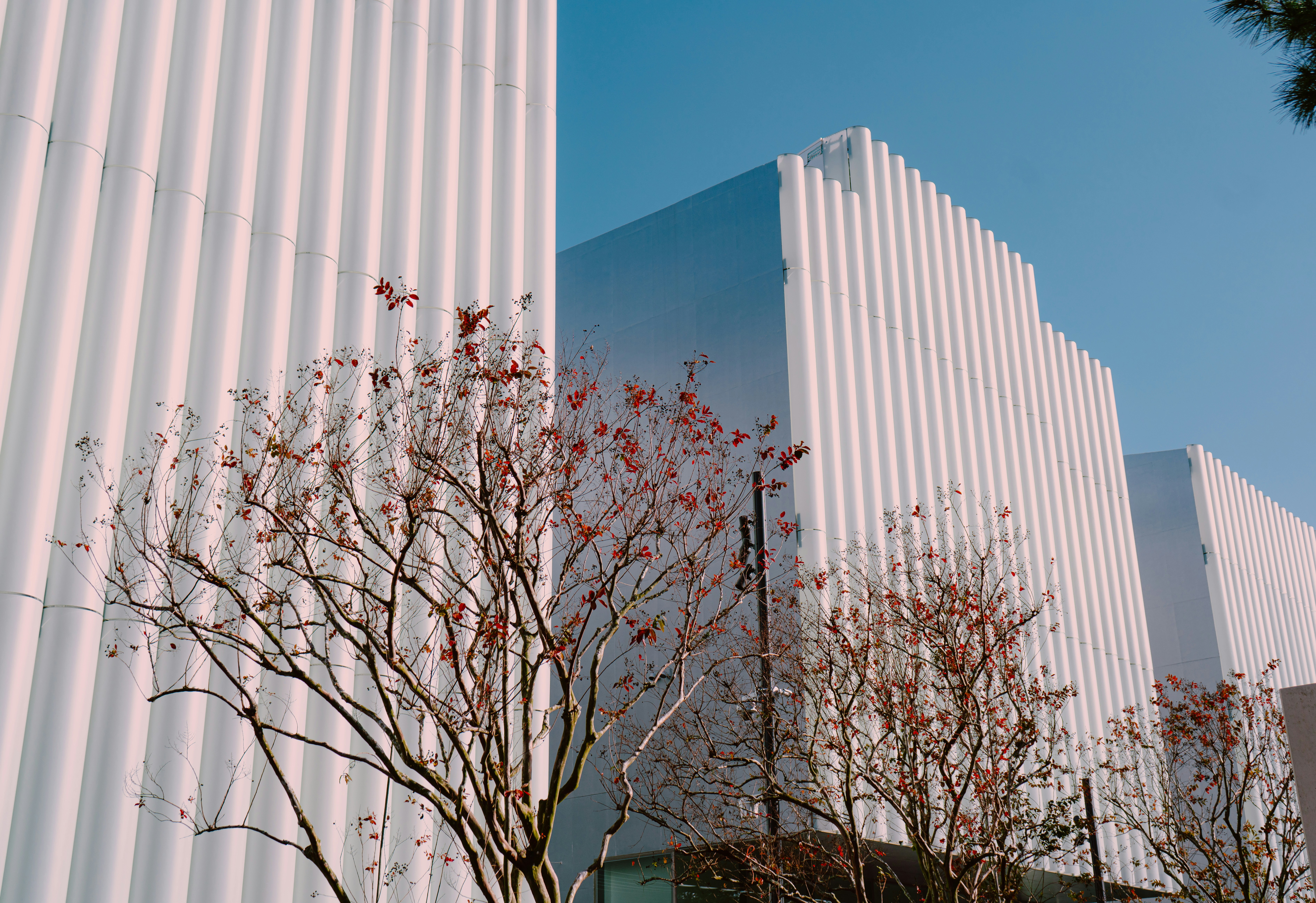 Photo by anewevisual