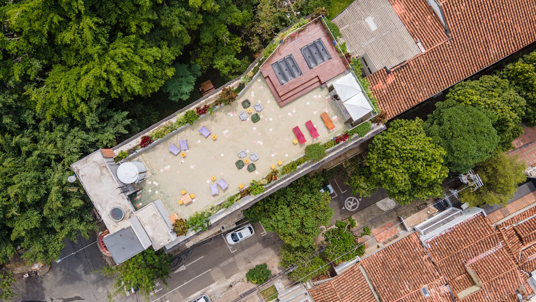 aerial view of cars on road near houses and trees during daytime