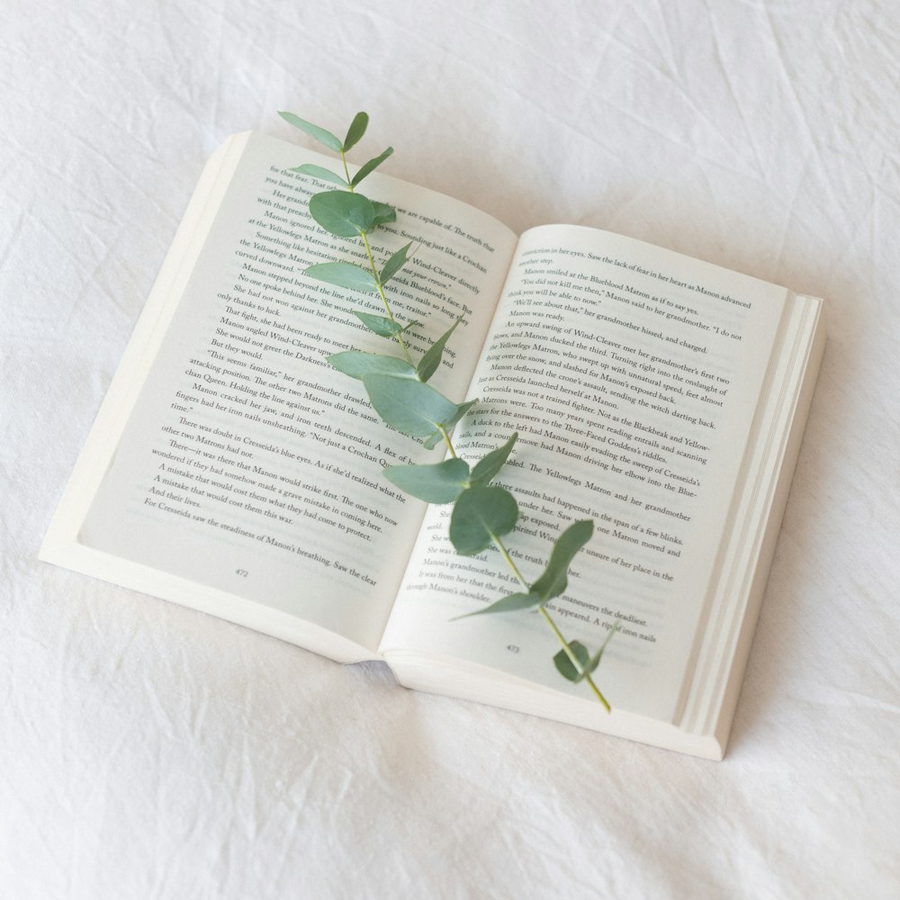 green leaf on white book page