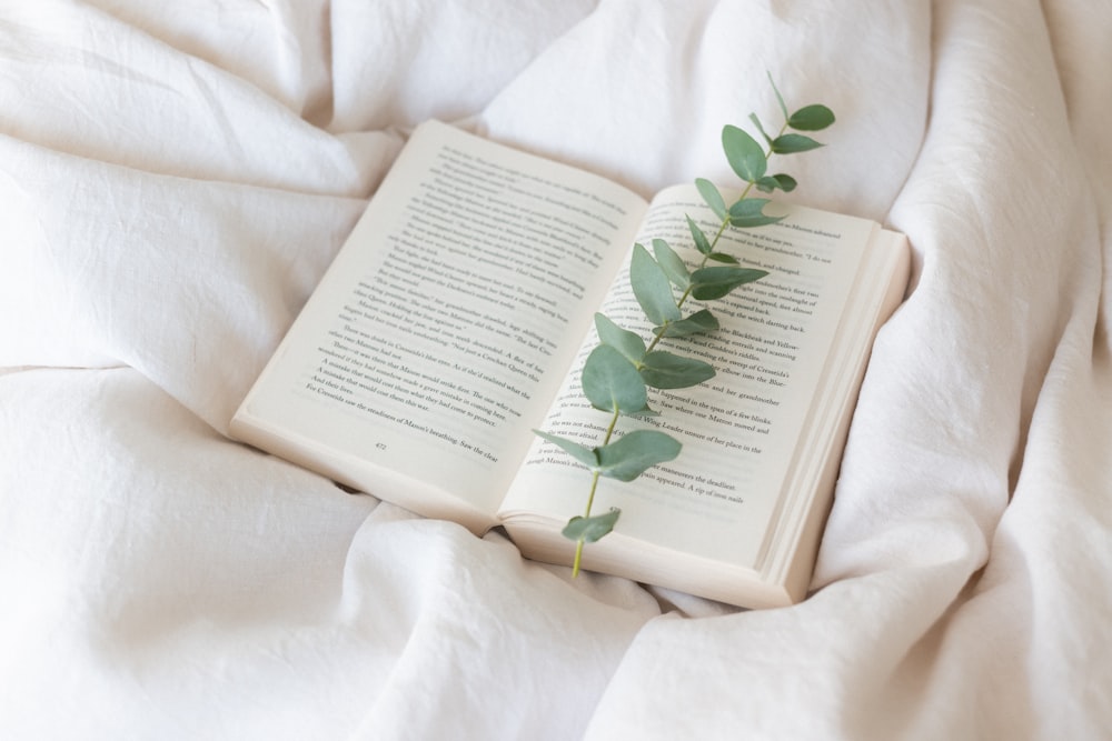 green leaf on book page