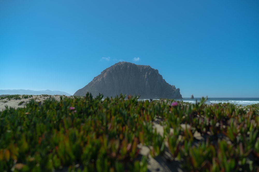 green grass field near mountain under blue sky during daytime