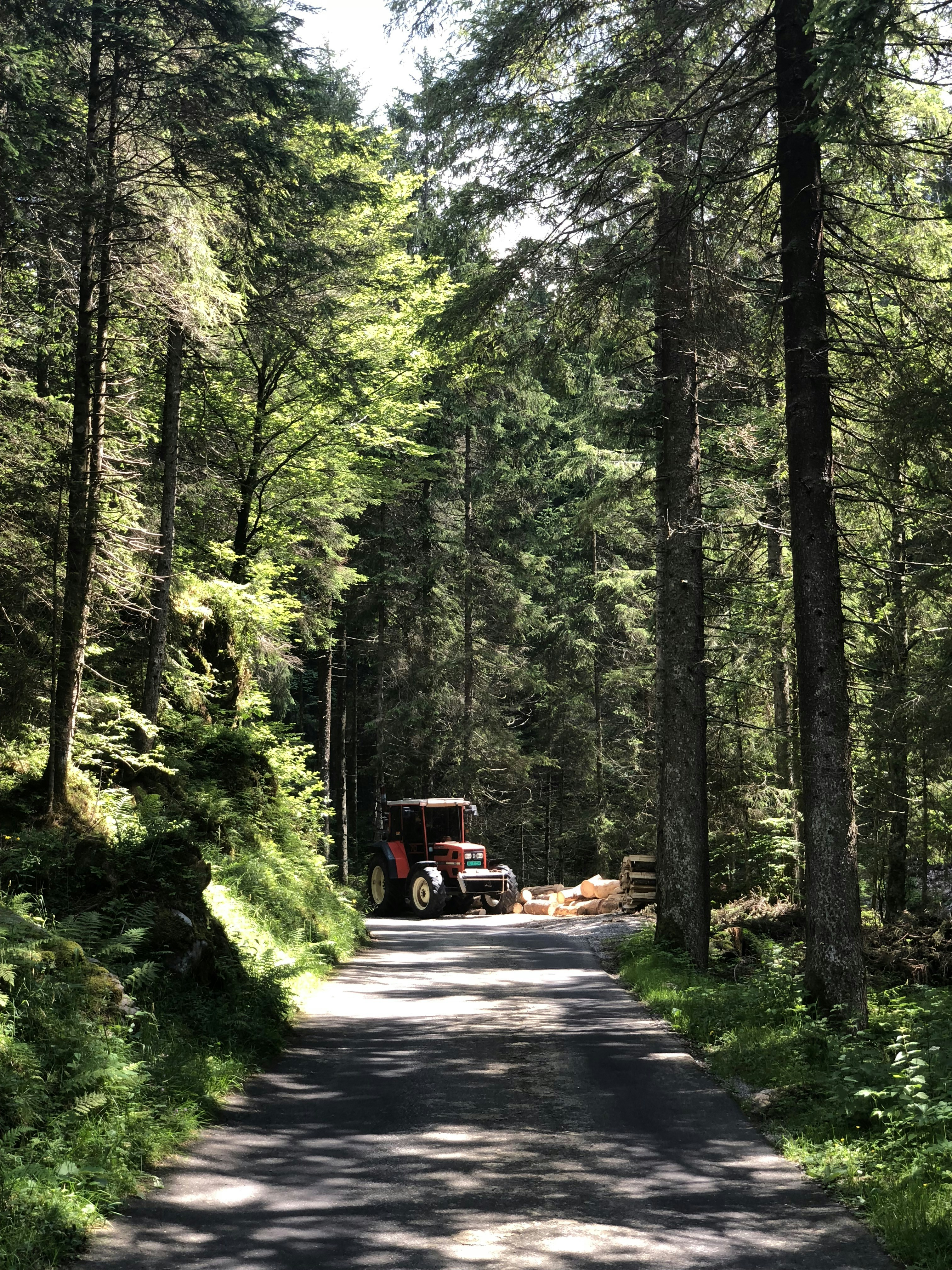 Forestry Traffic Management in Napier