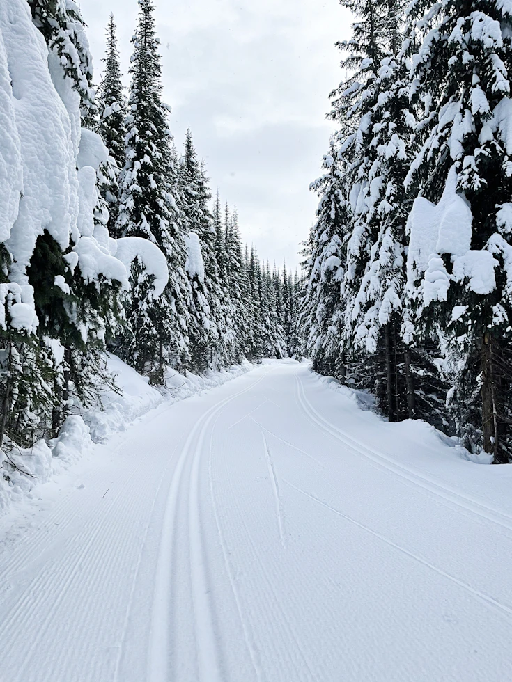 Sun Peaks skiing