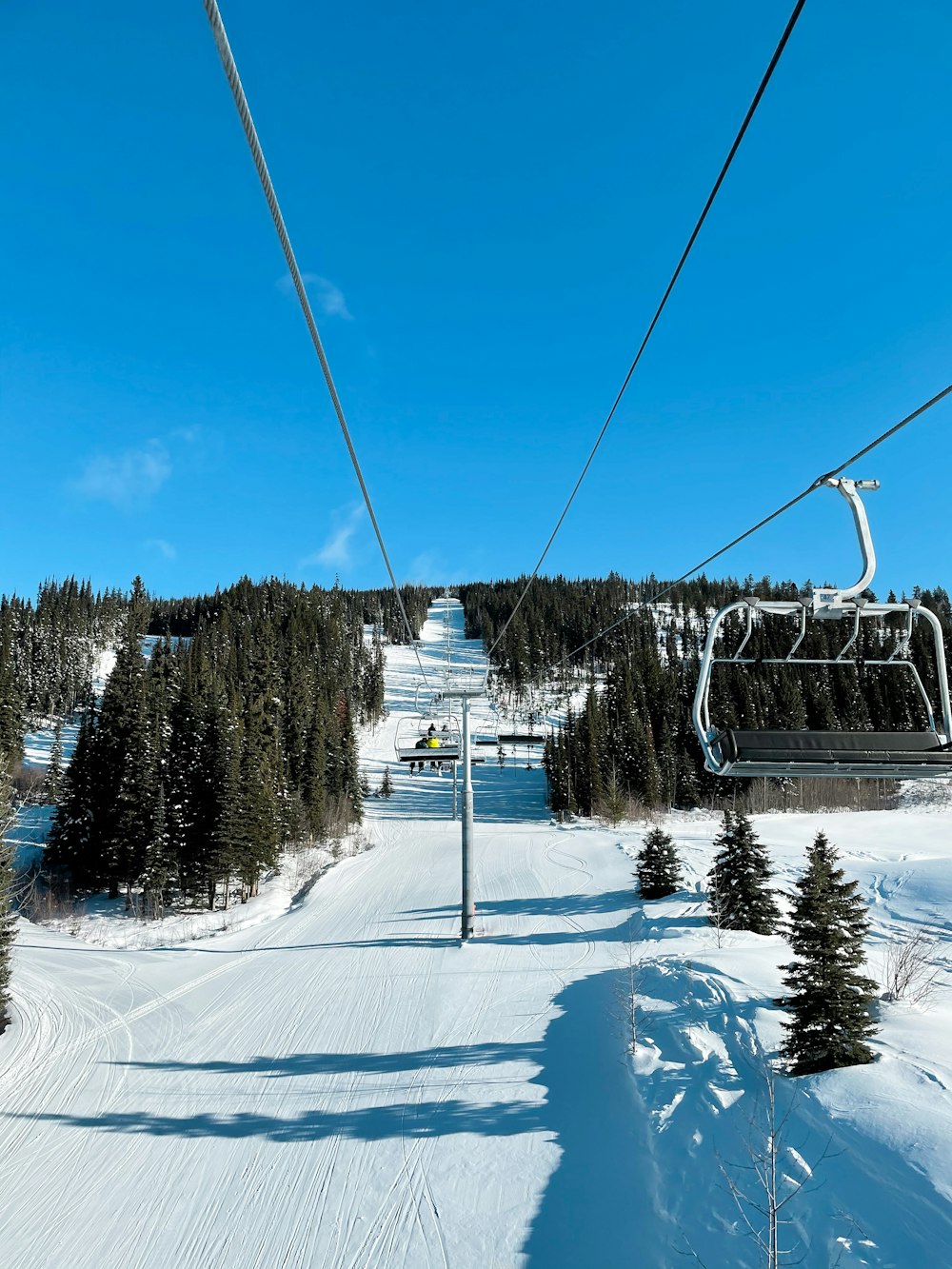 snow covered trees and cable cars under blue sky during daytime