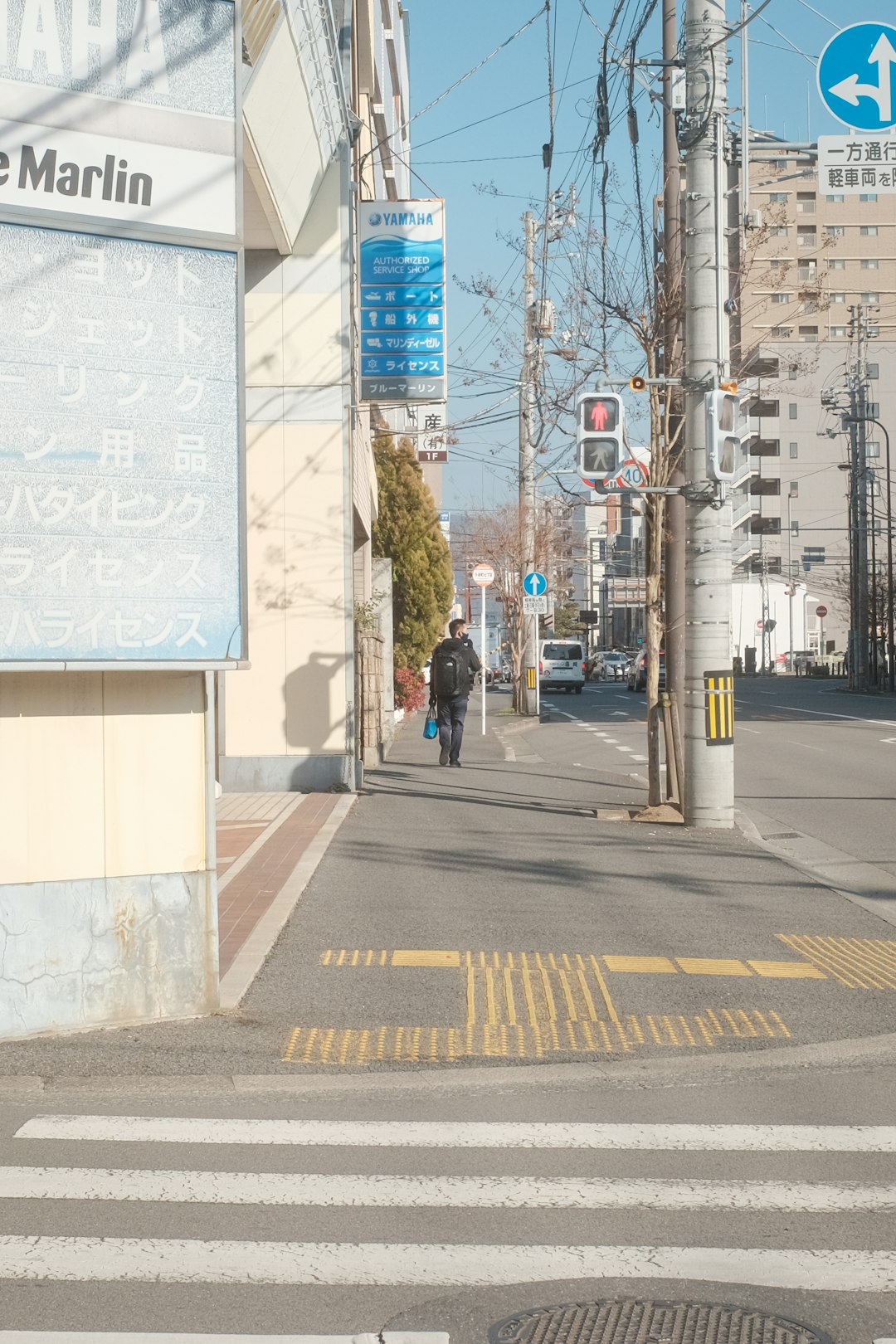 people walking on pedestrian lane during daytime