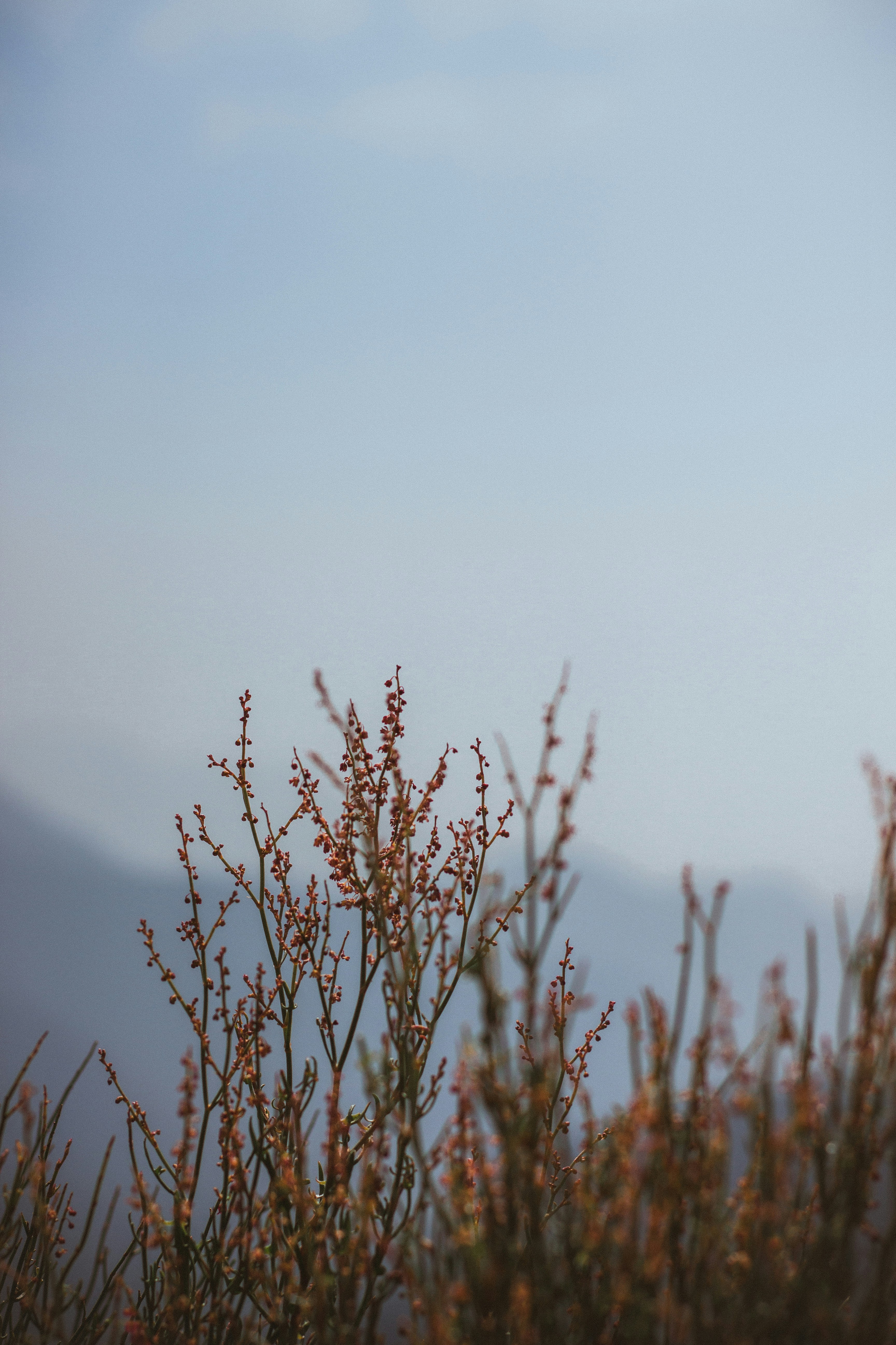 Photo by vikasgurjar