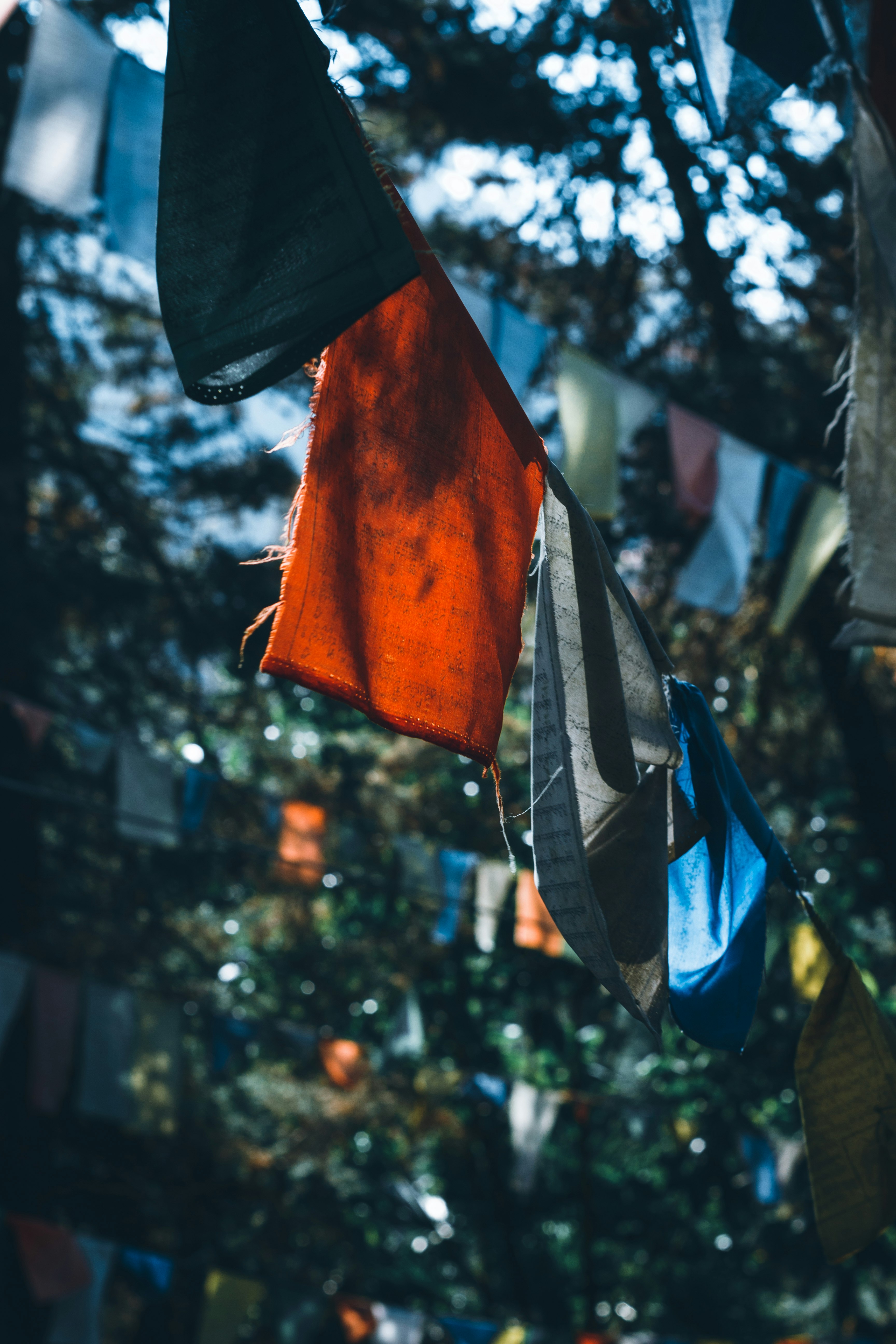 orange and blue textile hanging on black metal bar