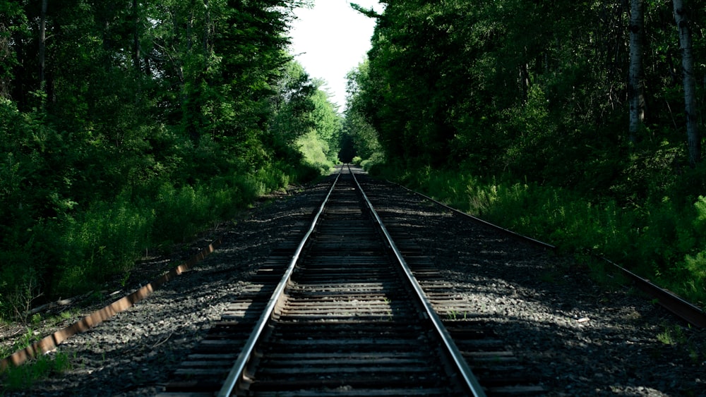 black metal train rail surrounded by green trees during daytime