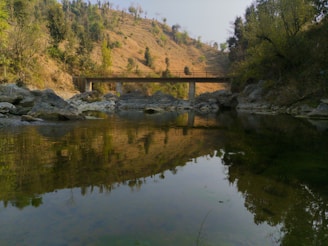 A serene landscape with a bridge crossing over a calm river, symbolizing connection and growth.