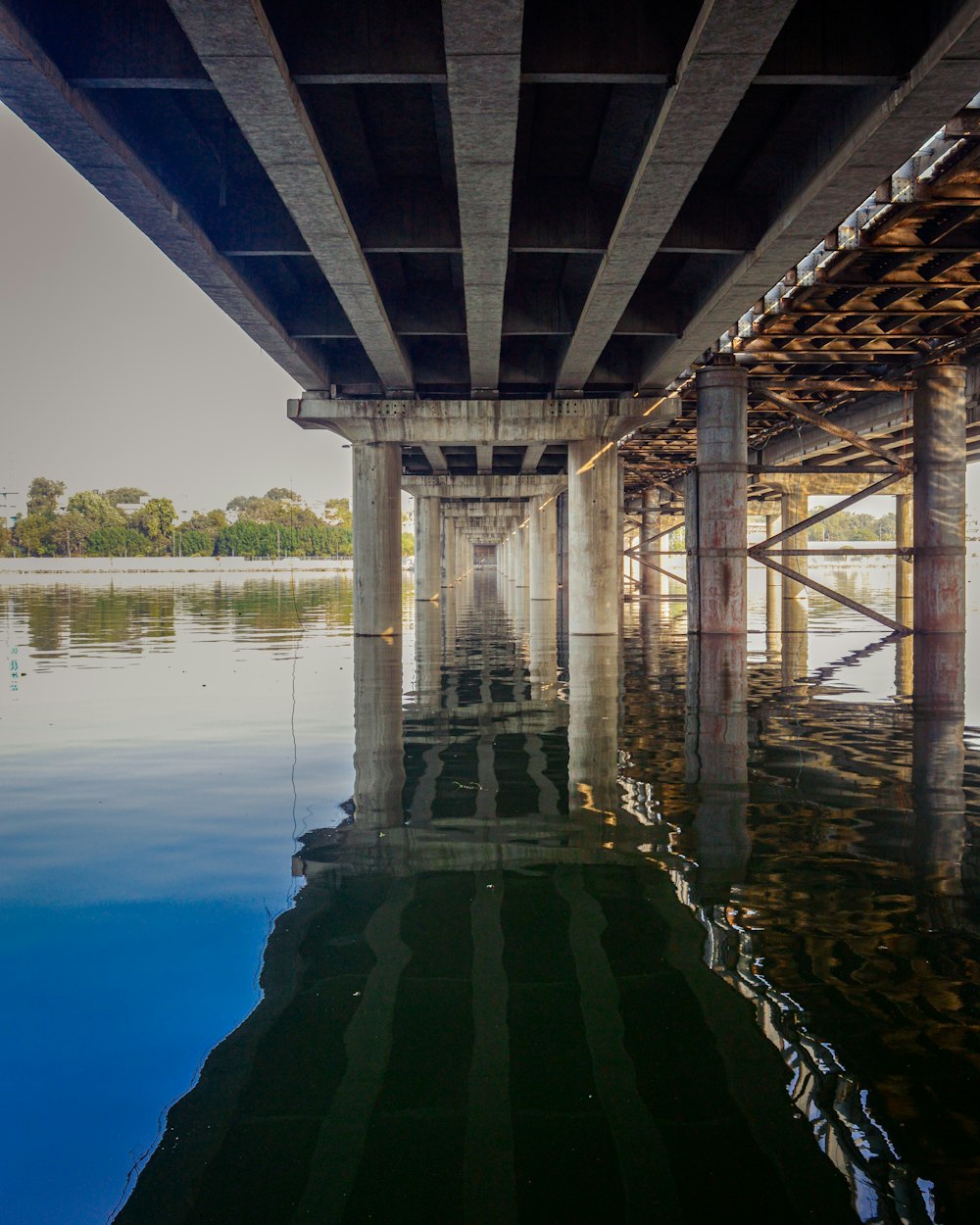 brown wooden bridge over the lake