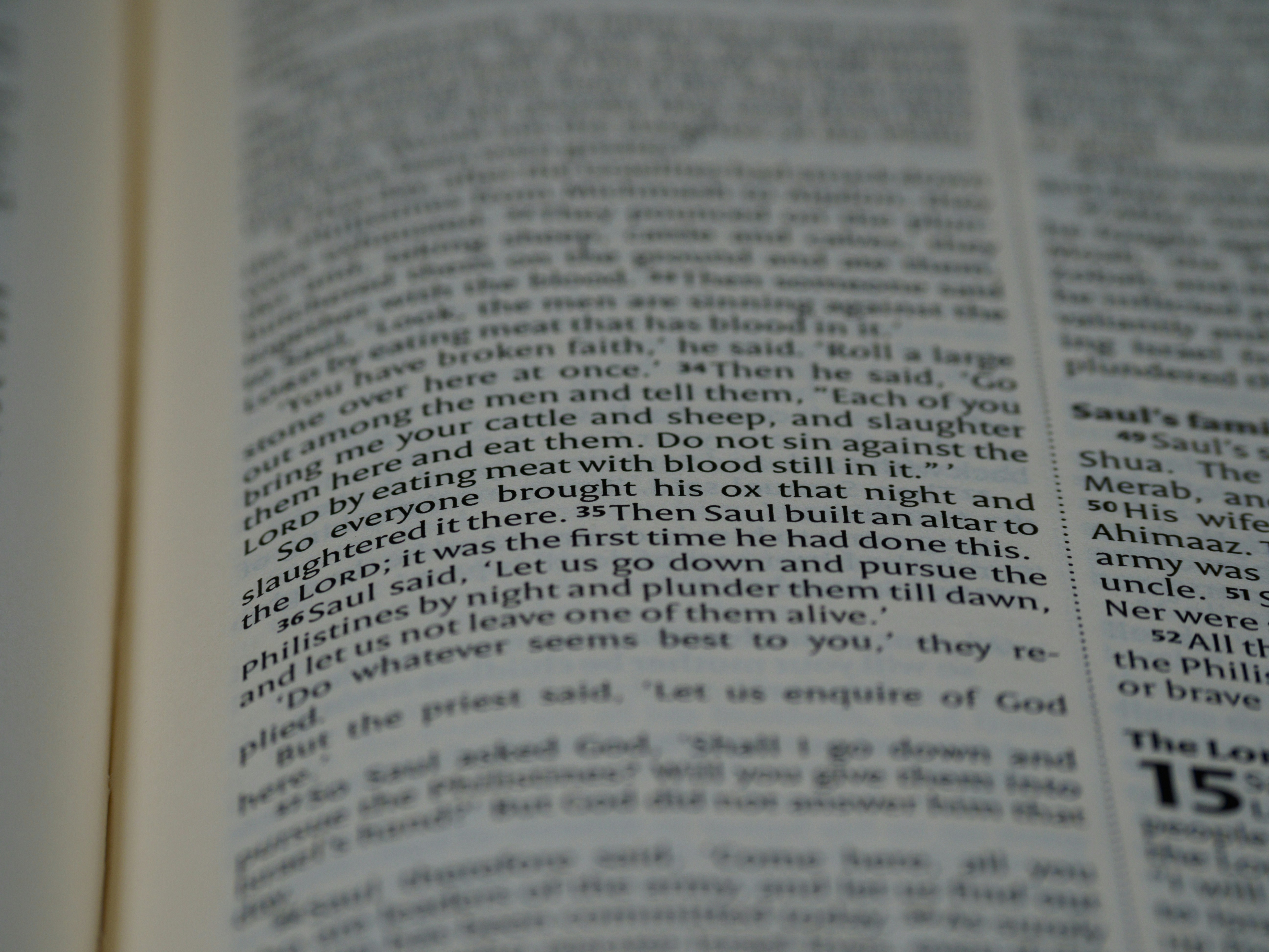 close up, bokeh, macro, blur, blurred background, close focus, bible, old testament, 1 samuel, gad, nathan, covenant, law, Nevi'im, prophets, Deuteronomistic history, rabbnic literature, shavuot, christian, judaism, history, text, reading, bible study, devotions, text, NIV, New International Version, type, typography, canon, christianity, holy scripture, holy bible, scripture, 
