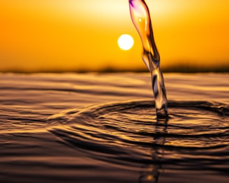 water drop on brown sand during sunset