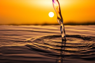 water drop on brown sand during sunset