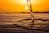 water drop on brown sand during sunset