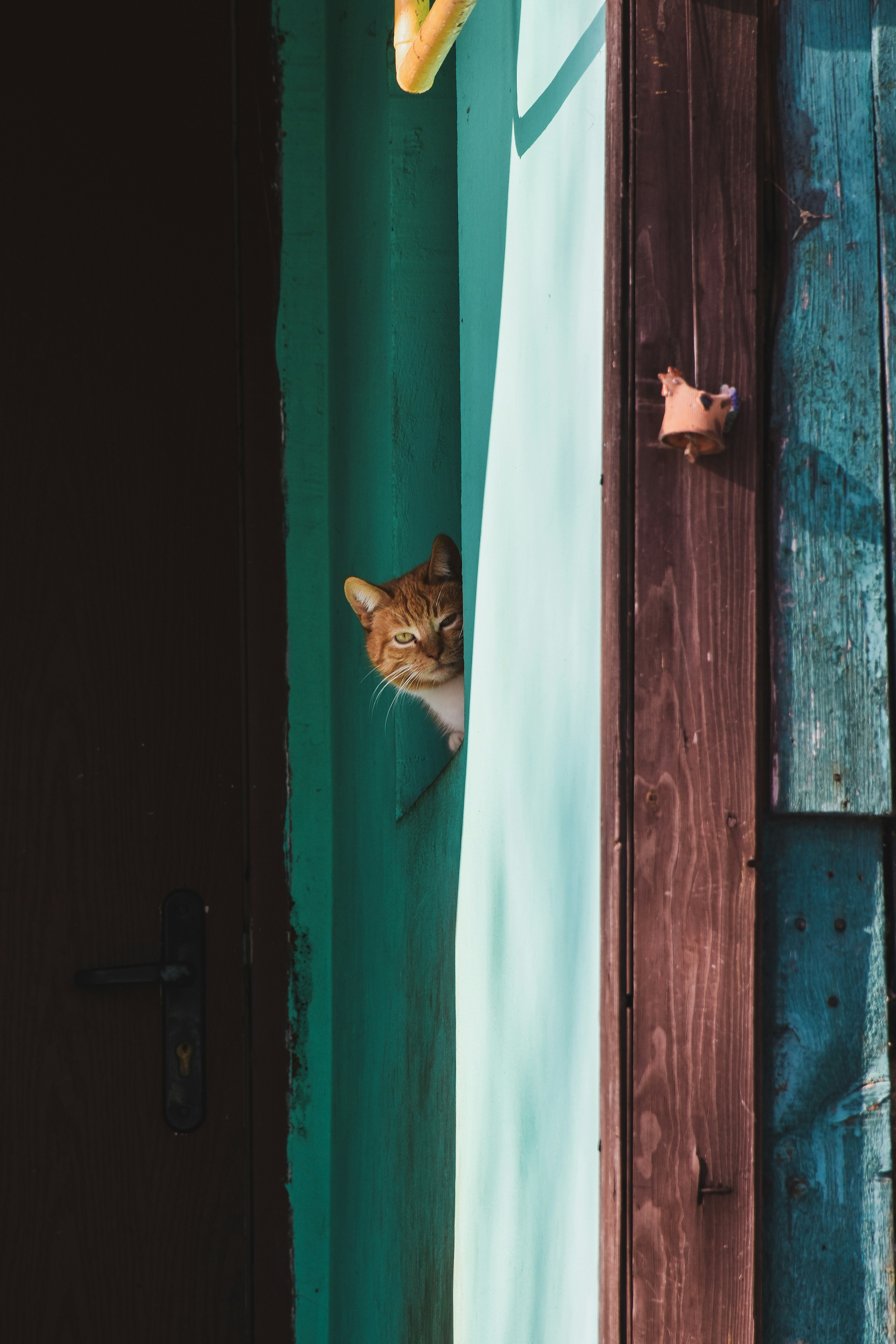 Photo by artem_makarov