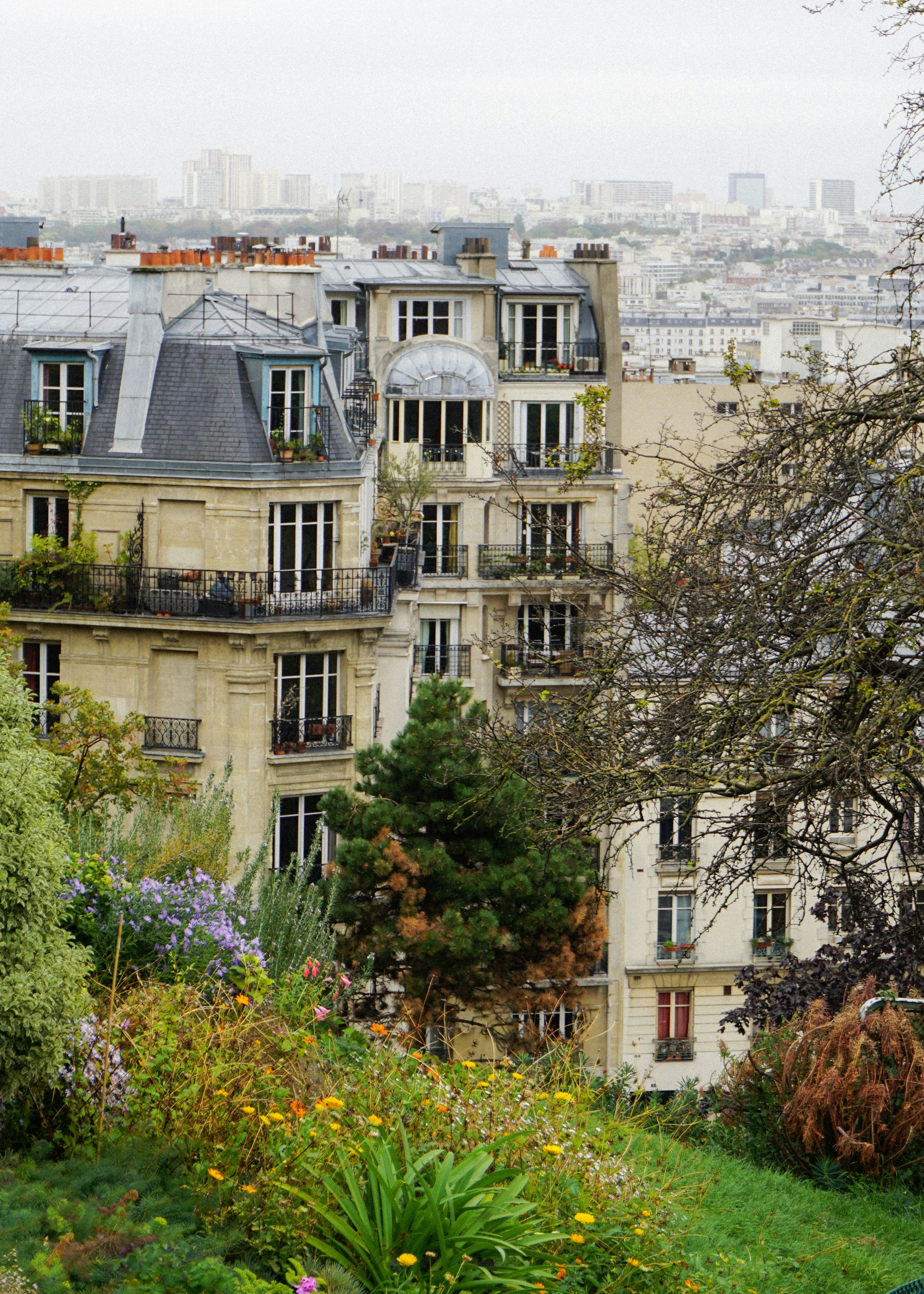 Árboles verdes cerca de un edificio de hormigón blanco durante el día