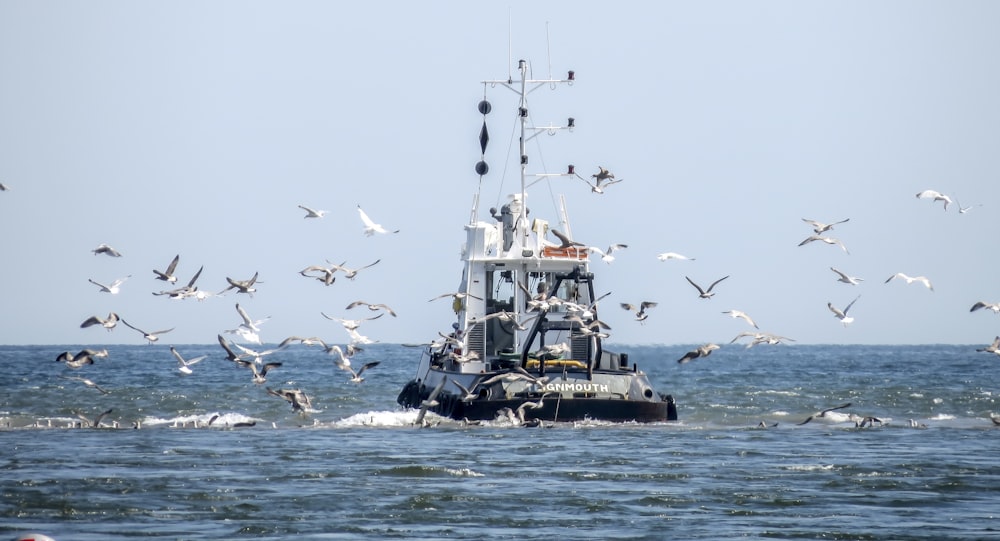 people riding on black and white boat on sea during daytime