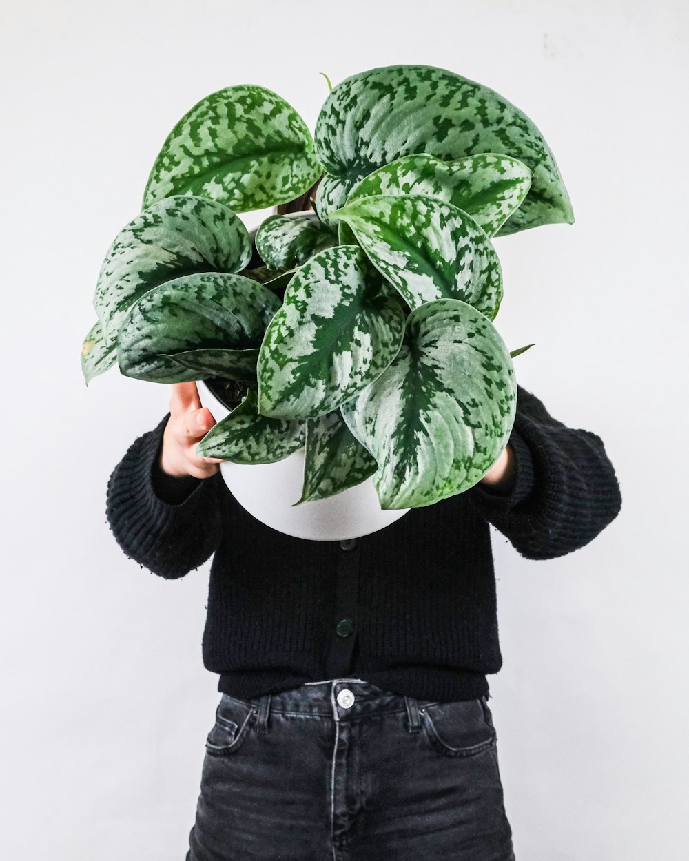 person in black jacket holding green leaves