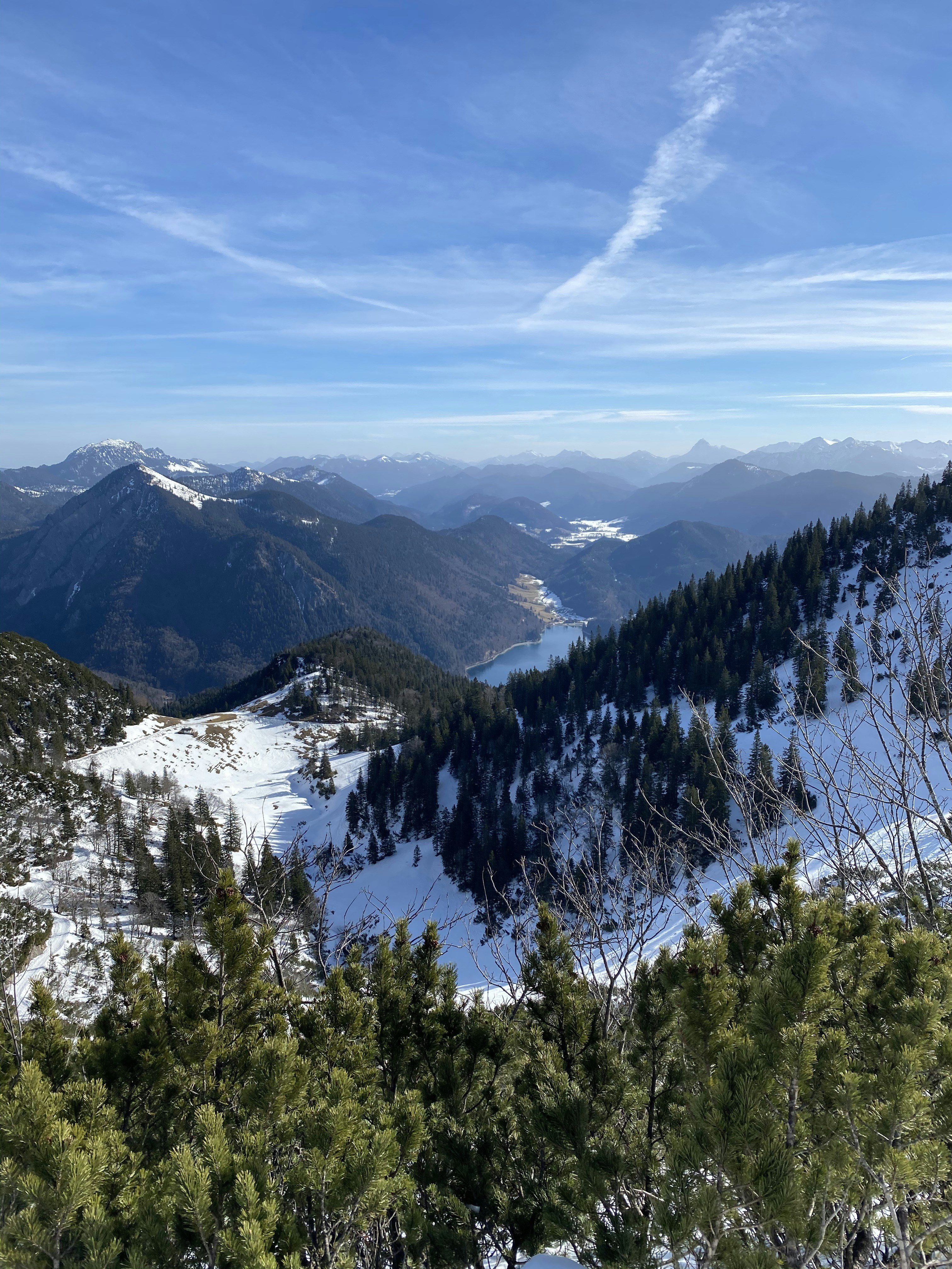 green trees on snow covered mountain during daytime