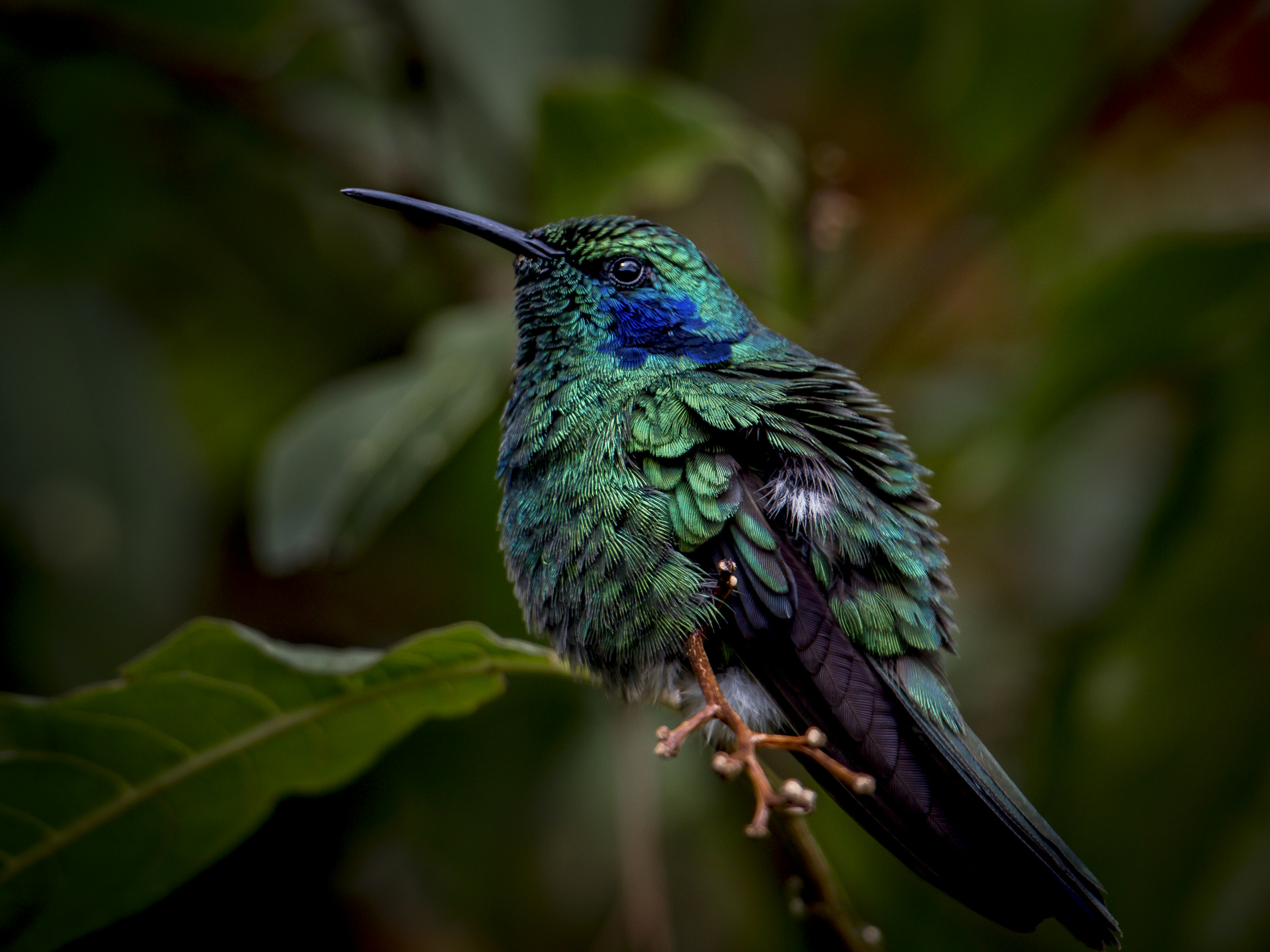 Photo by raymondo600