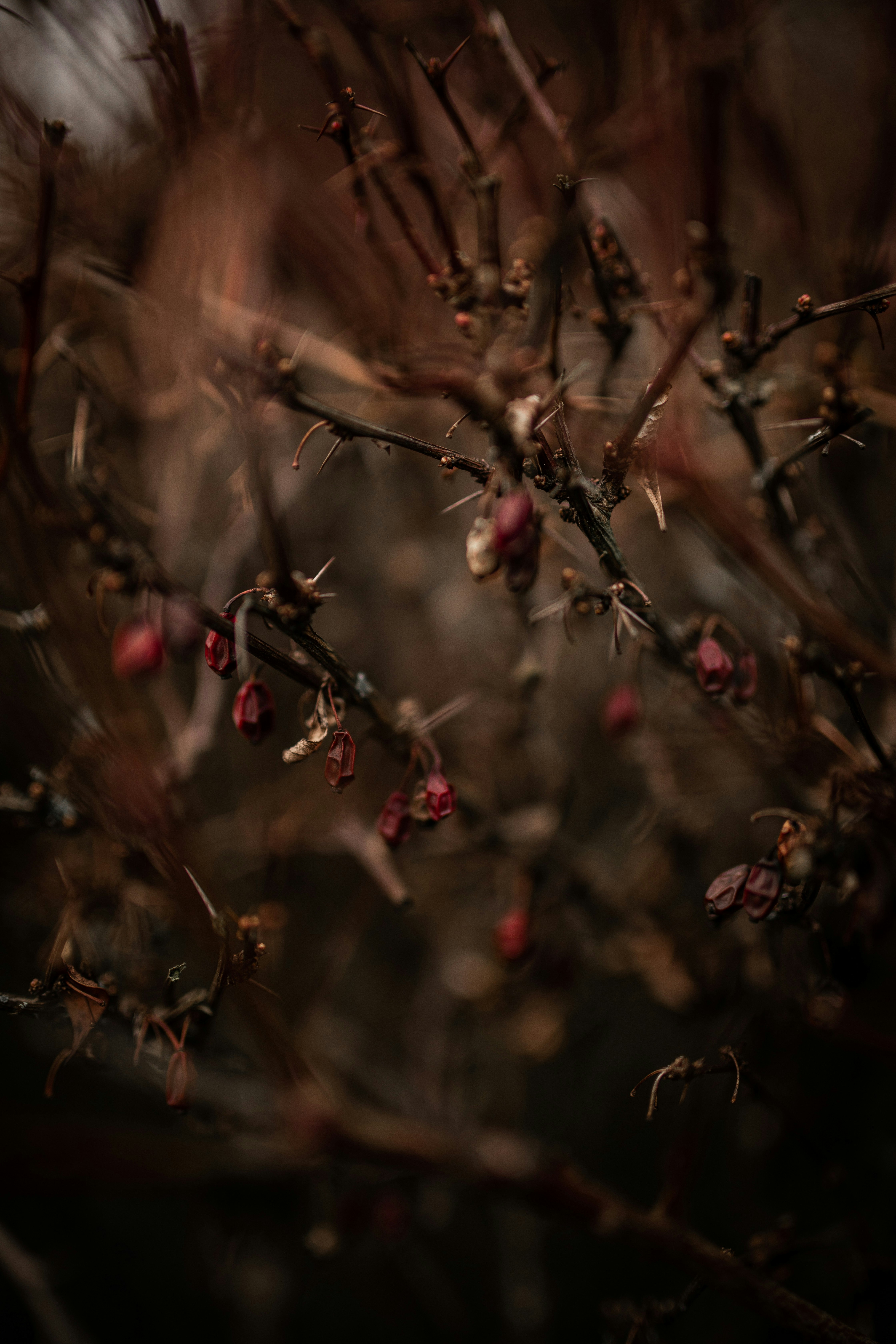 Photo by kajareichardtphotos